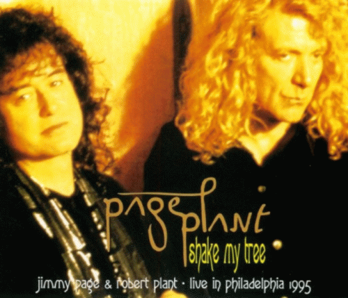Jimmy Page Robert Plant : Shake My Tree